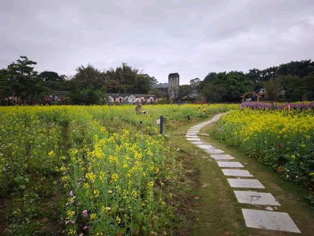 花海