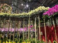 台南後壁-亞太蘭花會議暨台灣國際蘭展 Orchid Show 