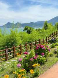 통영 여행코스 추천 이순신 공원🌿🤍