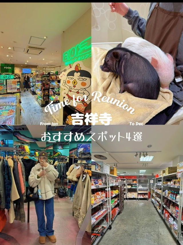 吉祥寺に来たら絶対行きたい！おすすめスポット4選🥳🌿🤍【東京・吉祥寺】