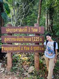จุดยุทธศาสตร์ที่ 3 อุทยานแห่งชาติดอยขุนตาล 🍃