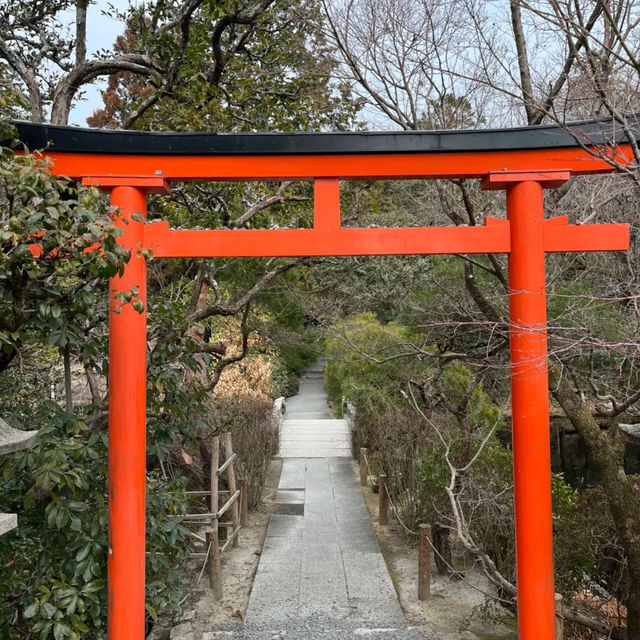 菊池神社：求學問寶地 📚✨