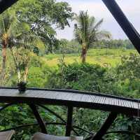 Bambu Indah Resort