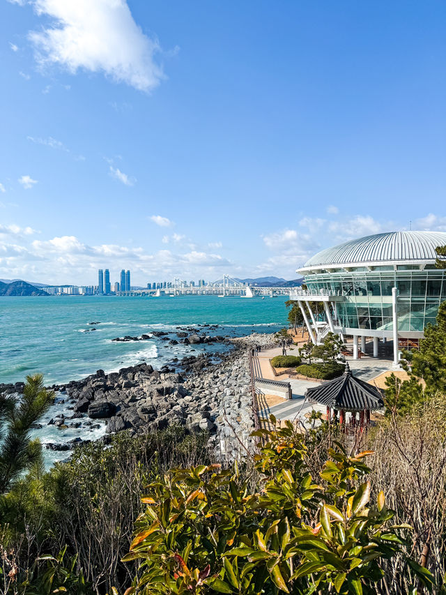 해운대 동백섬 해안 산책길 코스🌊🤍