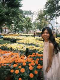 🌸 Ho Chi Minh City Flower Markets | A Burst of Color for Tết 🌿✨