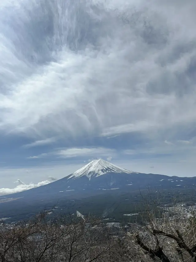 河口湖站空中纜車🚡欣賞最美富士山景觀
