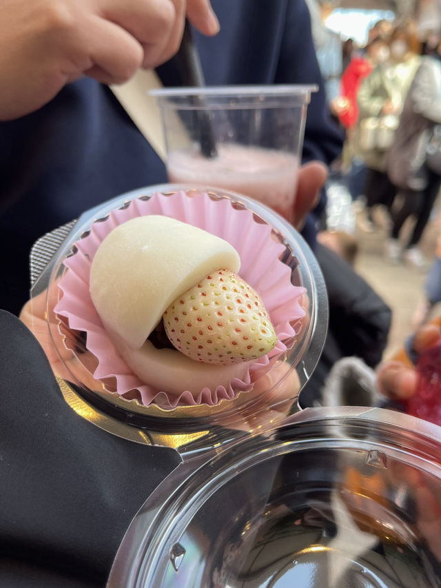 🍓 A Day in Yokohama – Strawberries, Chinatown & Coastal Charm 🚗🏙️