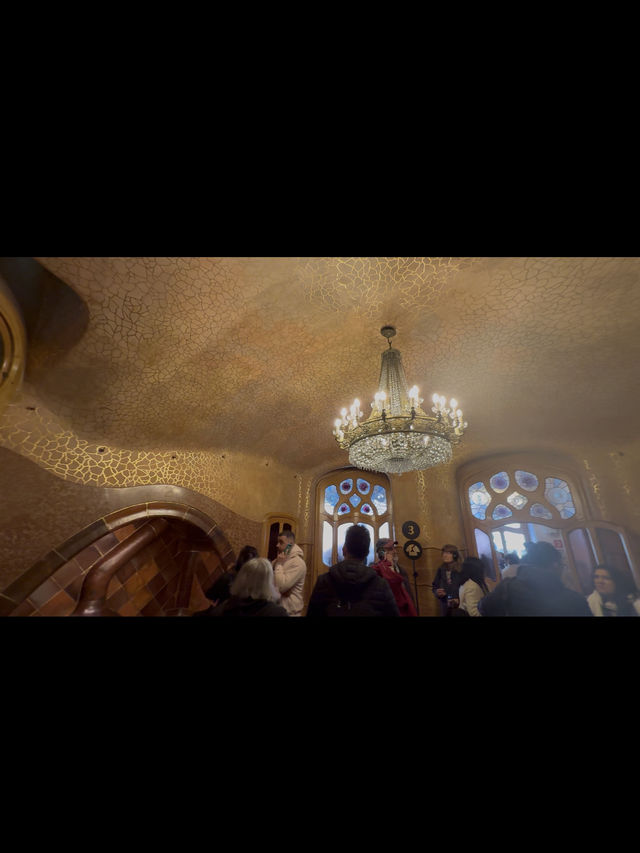 【個人的1番✨🏝️】カサ・バトリョ —ガウディ建築の最高傑作🏠