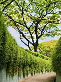 綠蔭深處的歷史回聲：福康寧公園散記