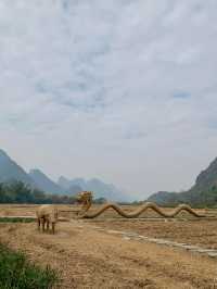 Trip to Guilin Li River