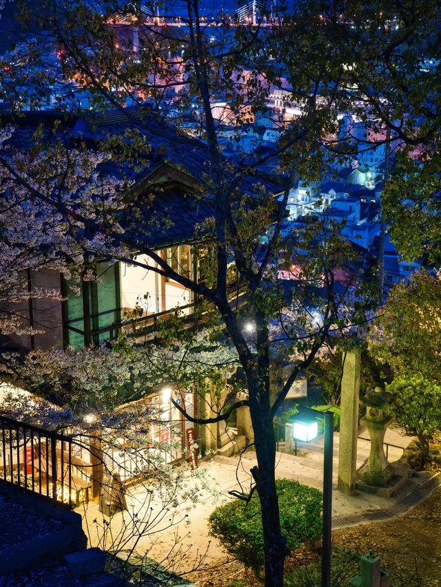 【広島】行かなきゃ損‼️尾道水道×桜の絶景🌸 ライトアップも✨
