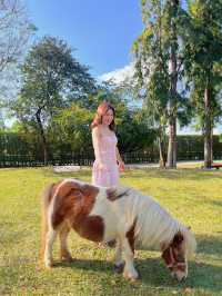 จุดเชคอิน 📍เขาใหญ่ ✨Rancho Club
