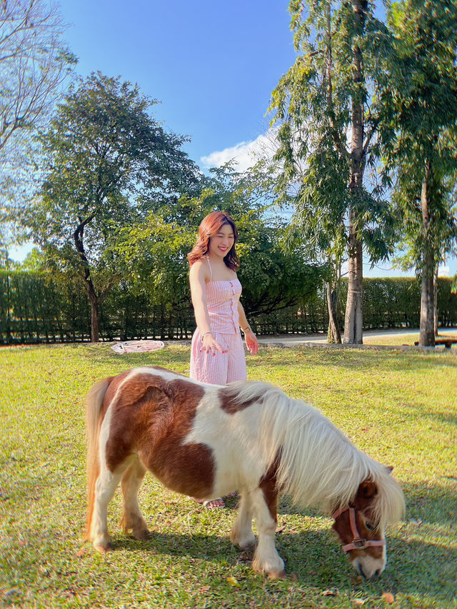 จุดเชคอิน 📍เขาใหญ่ ✨Rancho Club