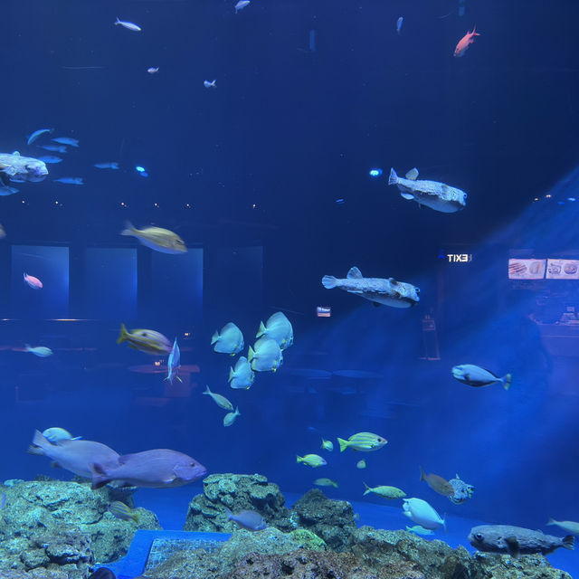 沖繩4天3夜海陸小旅行