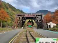 八仙山國家森林遊樂區