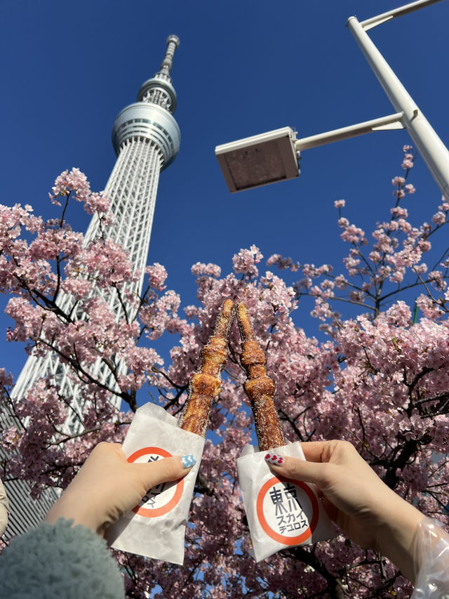 Kawazu Sakura & Tokyo Skytree: A Hidden Gem
