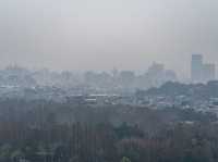 “Hangzhou 1 day trip”