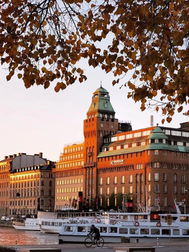 90%の人が恋に落ちる！ストックホルムの魅力に浸る旅🇸🇪