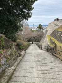 【丸亀】日本一高く美しい石垣⭐️現存の名城✨