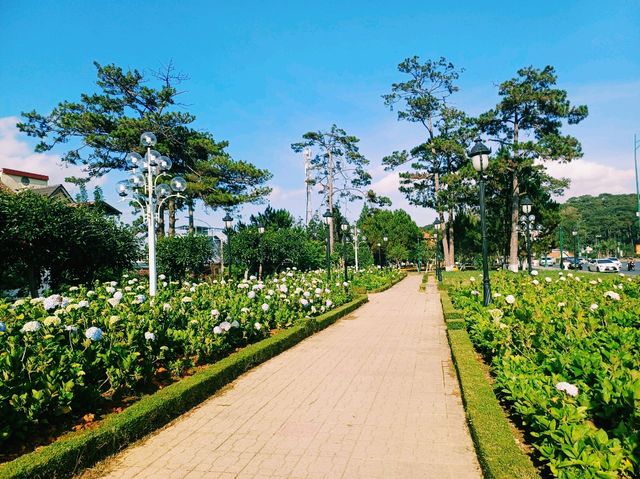 越南大叻著名花園公園景點：Flower garden，適合打卡拍照📸