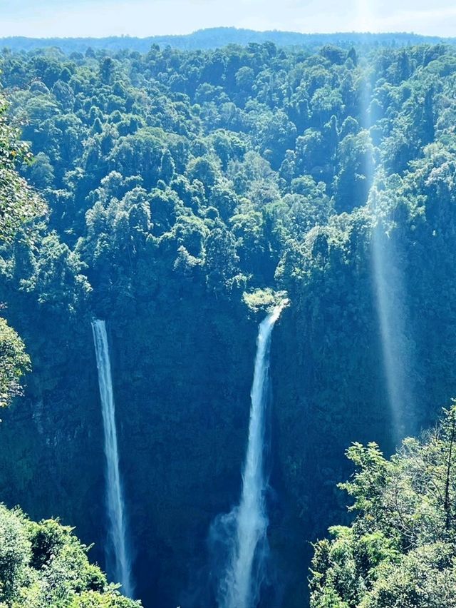ตาดฟาน -​ Zipline