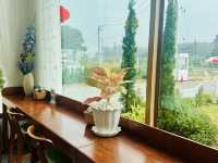 Don't miss time to tea in Chiangmai