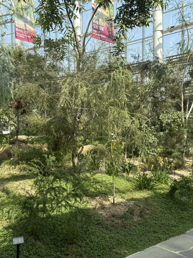 수원 실내데이트는 일월수목원에서 🌿