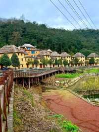 Yuangyang 🌏 🌱 
