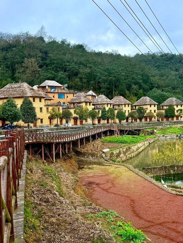 Yuangyang 🌏 🌱 