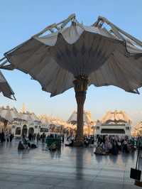 🇸🇦Madinah（メディナ）オススメ3選🕌