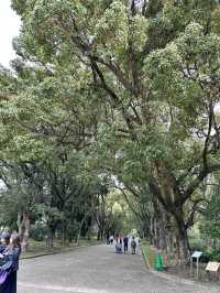 【京都】綺麗なお花に癒される子どもも嬉しいピクニックスポット