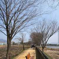 Yangpyeong Dumulmeori – Where Rivers and Blossoms Meet
