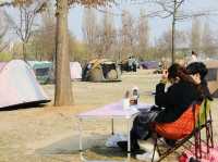 平日漢江公園驚見超浪漫野餐景象！情侶在草地上看韓劇，這才是韓國人最愛的放鬆方式在韓國的平日午後