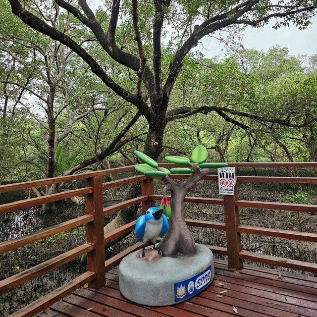 🎄ป่าชายเลนกลางเมือง | ปอดของคนระยอง 🏞