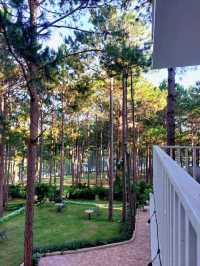 Romeo & Juliet Guesthouse @Dalat, Vietnam