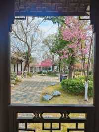 *Suzhou Yiyuan Garden – Where Poetry Meets Horticulture