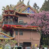 祝山觀日步道 Zhushan Sunrise Trail
