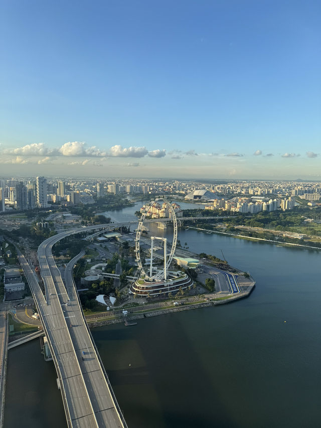 Touch the Sky: SkyPark Observation Deck