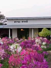 ☕️ร้านกาแฟดอกไม้เมืองหนาว🌸🌸 สไตล์ญี่ปุ่น🎎