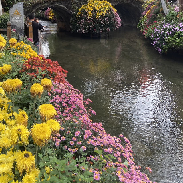 Lijiang: A City Full of Flowers