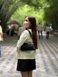 ไปเดินเล่นชิลล์ๆ ที่ “ป่าไผ่วัดจุฬาภรณ์” นครนายก
