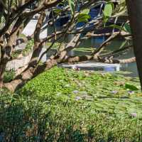 Guangzhou Cultural Center: A Fusion of Tradition and Modernity