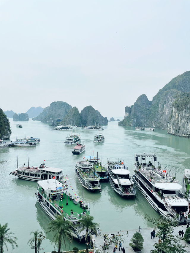 【ベトナム🇻🇳】 絶景ツアー ハロン湾クルーズ