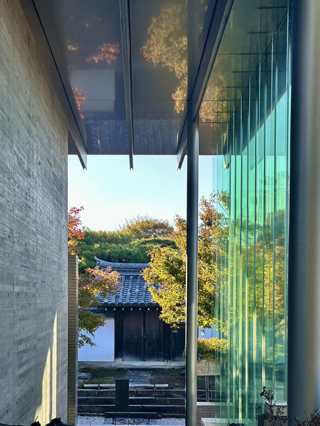 Uji เมืองแห่งชาเขียว