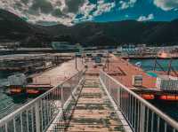 Swim with Dolphins in Kyushu: A One-Day Escape to Youra, Tsukumi