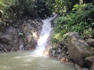 Taka Melor Eco Forest – A Solo Traveller's Honest Review
