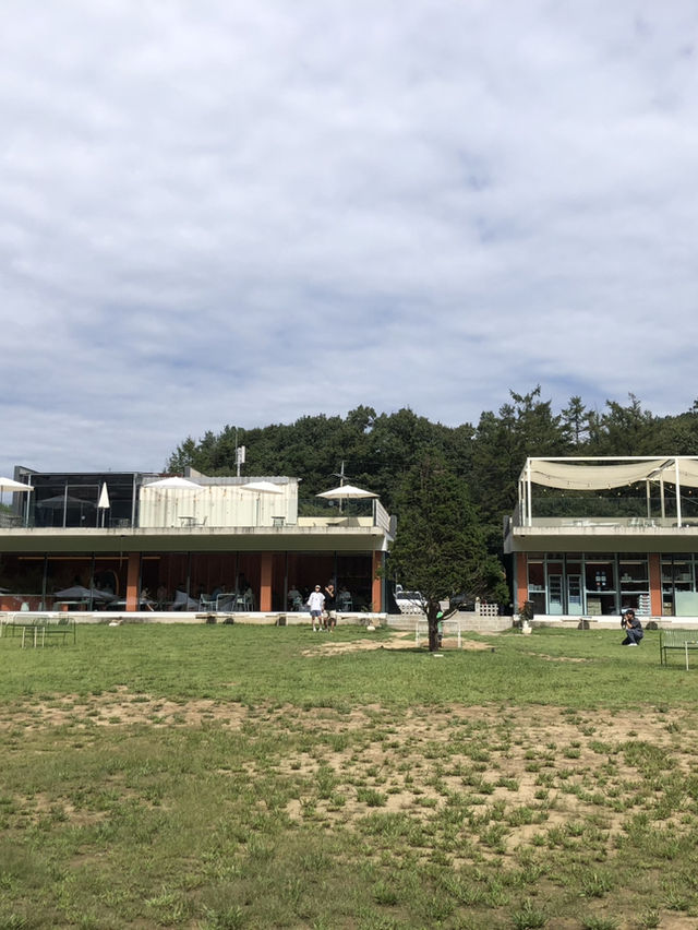📍 강원도 원주 하루 코스 — 로컬 맛+카페 감성 투어