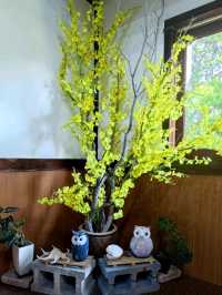 #鳥月生吐司專門店-彰化縣溪湖鎮