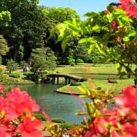 大井中央公園·日式夢幻