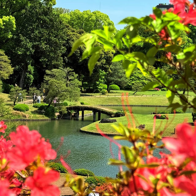 大井中央公園·日式夢幻